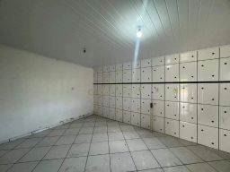 https://img.olx.com.br/thumbs256x256/57/577545641504568.jpg
