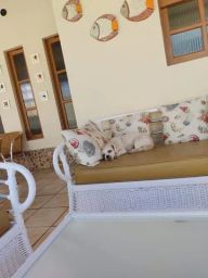 https://img.olx.com.br/thumbs256x256/57/578317685454583.jpg