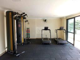 https://img.olx.com.br/thumbs256x256/57/578512526792319.jpg