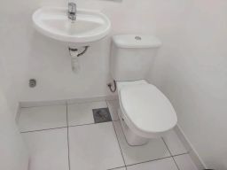 https://img.olx.com.br/thumbs256x256/57/579539640987544.jpg