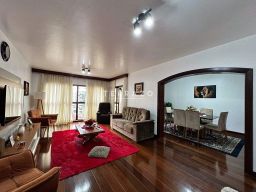 https://img.olx.com.br/thumbs256x256/57/579576529423346.jpg