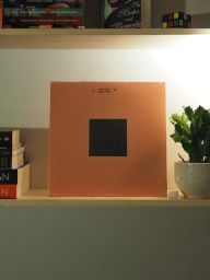 https://img.olx.com.br/thumbs256x256/57/579612682411501.jpg