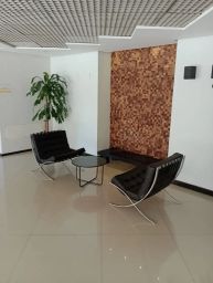 https://img.olx.com.br/thumbs256x256/58/580625567863496.jpg