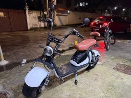 https://img.olx.com.br/thumbs256x256/58/581597752457754.jpg