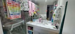 https://img.olx.com.br/thumbs256x256/58/582446474435836.jpg