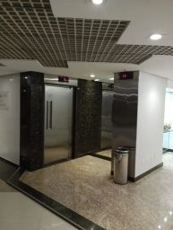 https://img.olx.com.br/thumbs256x256/58/582672201388381.jpg
