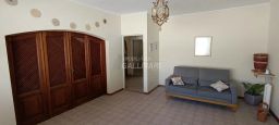 https://img.olx.com.br/thumbs256x256/58/583552521649850.jpg