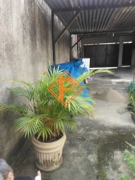 https://img.olx.com.br/thumbs256x256/58/583557515549233.jpg