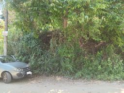 https://img.olx.com.br/thumbs256x256/58/583574409284351.jpg
