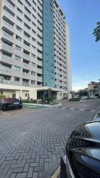 https://img.olx.com.br/thumbs256x256/58/584569044626403.jpg