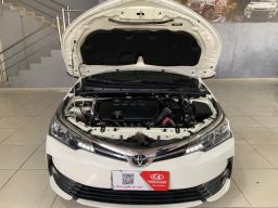 https://img.olx.com.br/thumbs256x256/58/584627169376361.jpg