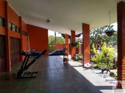 https://img.olx.com.br/thumbs256x256/58/584675053276788.jpg