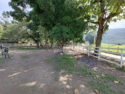 https://img.olx.com.br/thumbs256x256/58/586517769883353.jpg