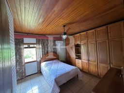 https://img.olx.com.br/thumbs256x256/58/586556516882437.jpg
