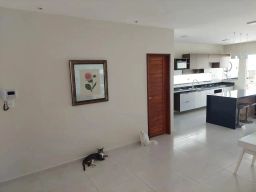 https://img.olx.com.br/thumbs256x256/58/587540521439603.jpg