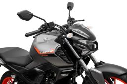 https://img.olx.com.br/thumbs256x256/58/588533847143722.jpg