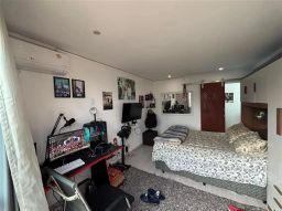 https://img.olx.com.br/thumbs256x256/58/588539520403427.jpg