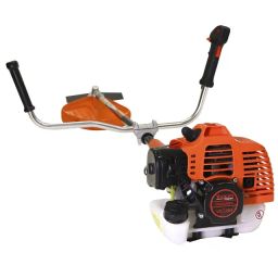 https://img.olx.com.br/thumbs256x256/58/589666278338955.jpg