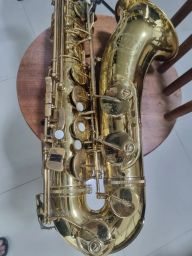 https://img.olx.com.br/thumbs256x256/59/590524168687046.jpg