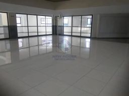 https://img.olx.com.br/thumbs256x256/59/591553646538955.jpg