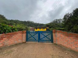 https://img.olx.com.br/thumbs256x256/59/591562755457687.jpg