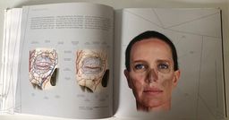 Título do anúncio: Livro Arquitetura Facial (Usado)