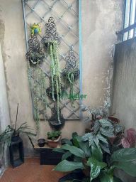 https://img.olx.com.br/thumbs256x256/59/592556521049693.jpg