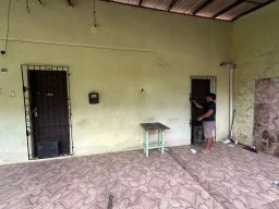 https://img.olx.com.br/thumbs256x256/59/592564634861325.jpg