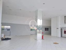 https://img.olx.com.br/thumbs256x256/59/592575401756515.jpg