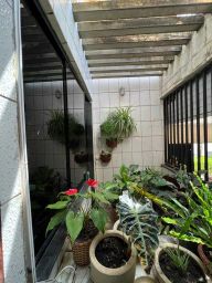 https://img.olx.com.br/thumbs256x256/59/592604184452779.jpg
