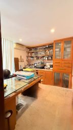 https://img.olx.com.br/thumbs256x256/59/592678193101278.jpg