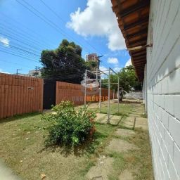 https://img.olx.com.br/thumbs256x256/59/593422142091626.jpg
