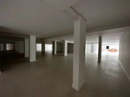 https://img.olx.com.br/thumbs256x256/59/593534043765041.jpg