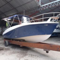 https://img.olx.com.br/thumbs256x256/59/595509263702119.jpg