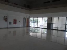 https://img.olx.com.br/thumbs256x256/59/595535167581901.jpg
