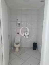 https://img.olx.com.br/thumbs256x256/59/596538649562518.jpg
