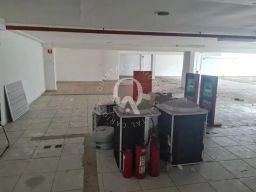 https://img.olx.com.br/thumbs256x256/59/599511282069171.jpg