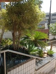 https://img.olx.com.br/thumbs256x256/59/599617929166228.jpg