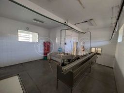 https://img.olx.com.br/thumbs256x256/60/600512402784052.jpg