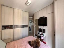 https://img.olx.com.br/thumbs256x256/60/600526403505384.jpg