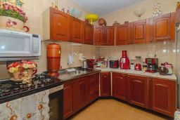 https://img.olx.com.br/thumbs256x256/60/600550274635469.jpg