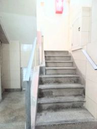 https://img.olx.com.br/thumbs256x256/60/600561035780873.jpg