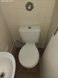 https://img.olx.com.br/thumbs256x256/60/600564286809098.jpg