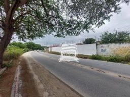 https://img.olx.com.br/thumbs256x256/60/601564520995572.jpg