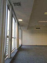 https://img.olx.com.br/thumbs256x256/60/603519636732919.jpg