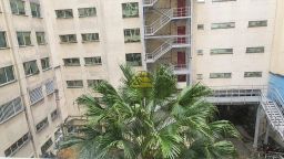 https://img.olx.com.br/thumbs256x256/60/603530647209114.jpg