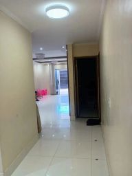 https://img.olx.com.br/thumbs256x256/60/603536529475238.jpg