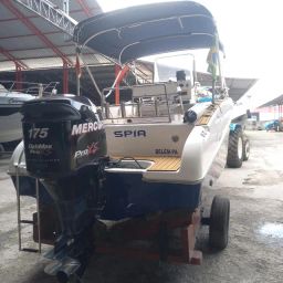 https://img.olx.com.br/thumbs256x256/60/603561384843183.jpg