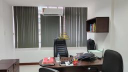 https://img.olx.com.br/thumbs256x256/60/603596646665579.jpg