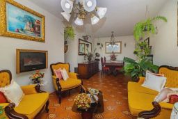 https://img.olx.com.br/thumbs256x256/60/605545636195550.jpg
